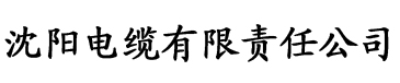 双性骚受电缆厂logo